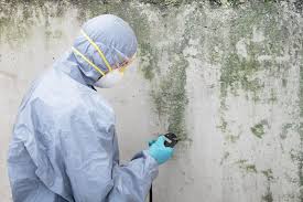 Best Commercial Mold Inspection in Lake Mohegan, NY